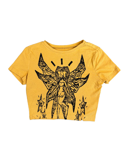 FAIRY 010